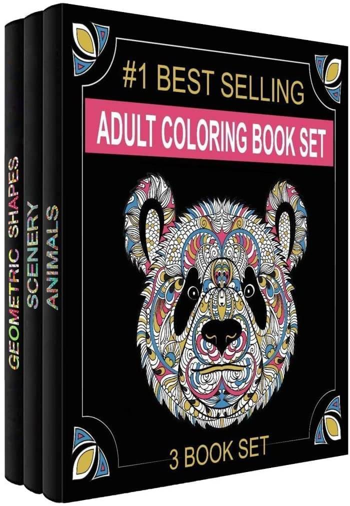 adult coloring set