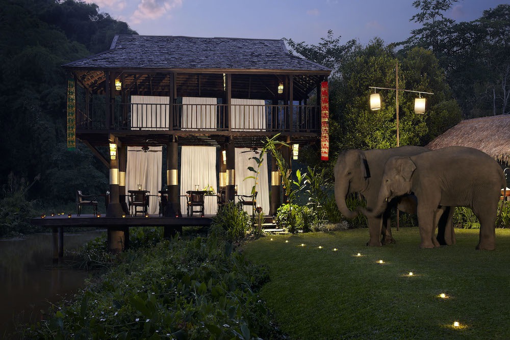 elephants at Anantara