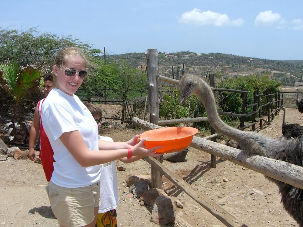 Catherine Villarreal feeding ostriches on Aruba