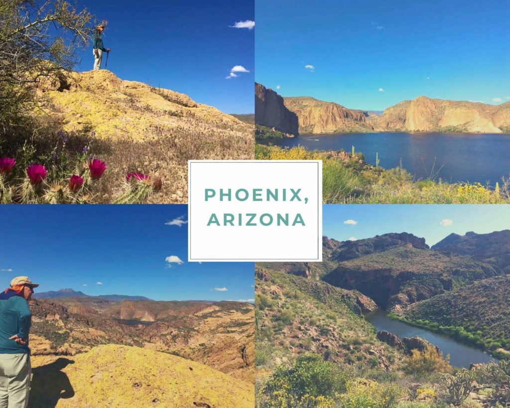 postcard from Phoenix Arizona