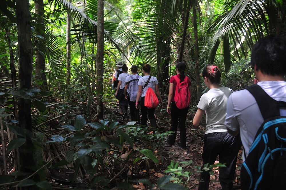 hike through the rainforest