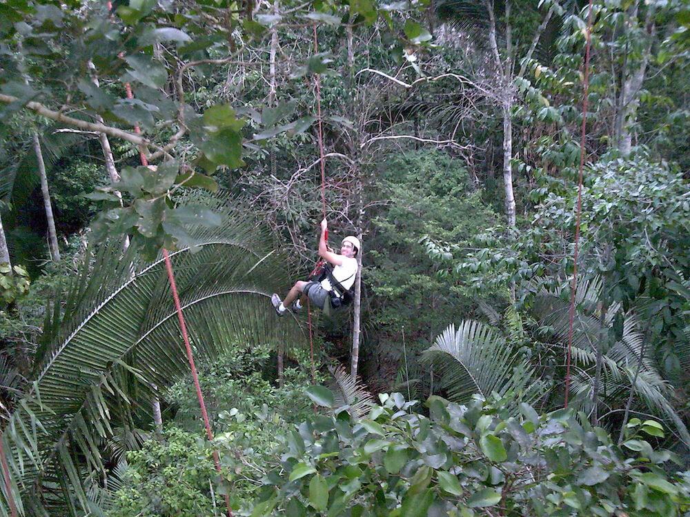 climbing trees in the Amazon Rainforest