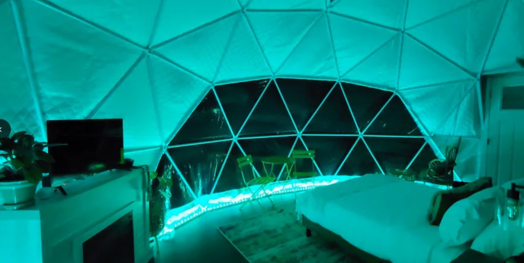 interior of penguin geodisic dome