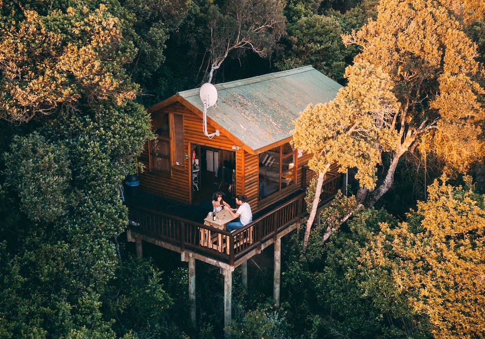 couple in tree house