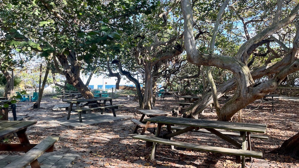 outdoor seating area at Park and Ocean