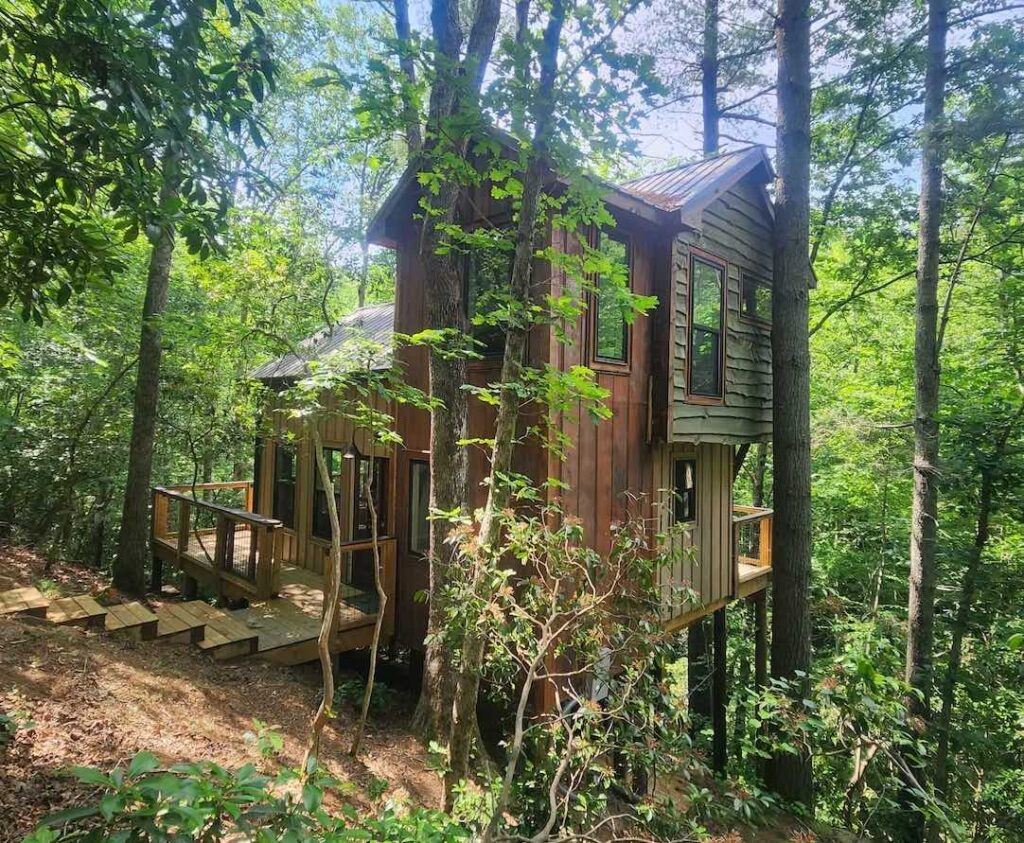 Al's nest treehouse in dahlonega