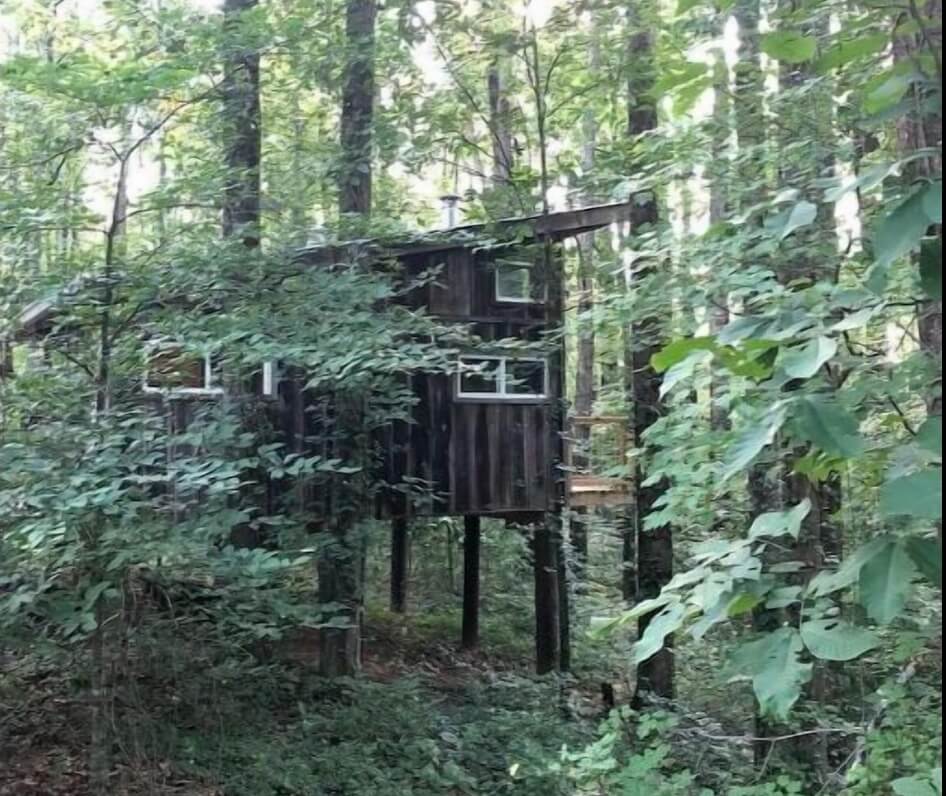 waterfront treehouse in dahlonega