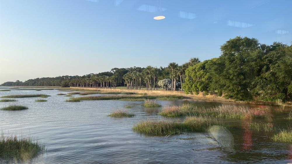 view of marsh on Jekyll Island