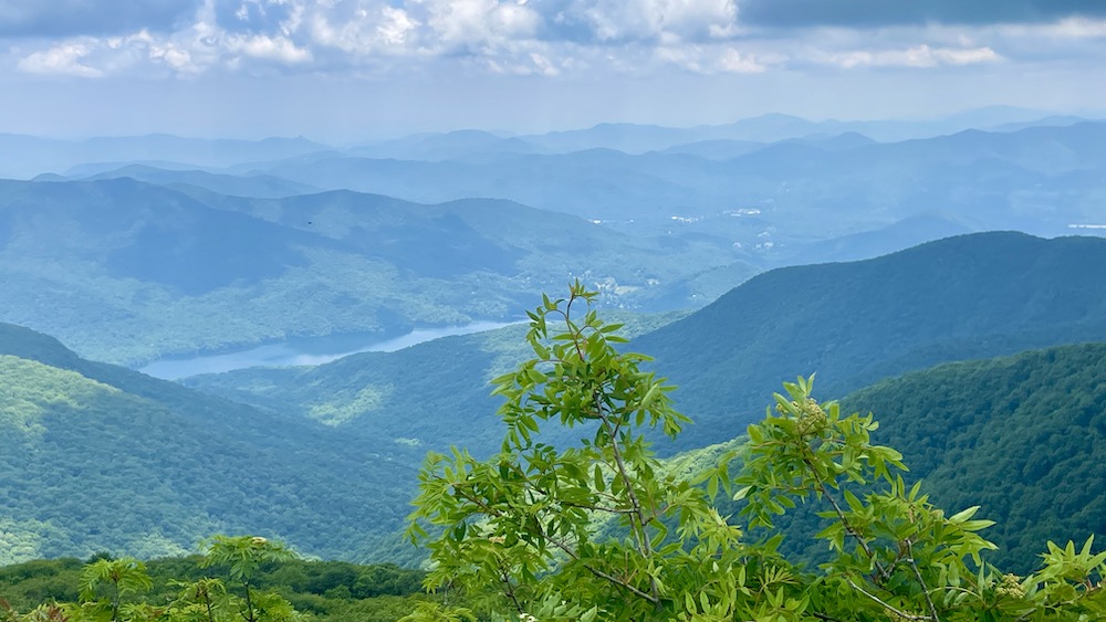 view of mountains from Craggy Pinnacle trail