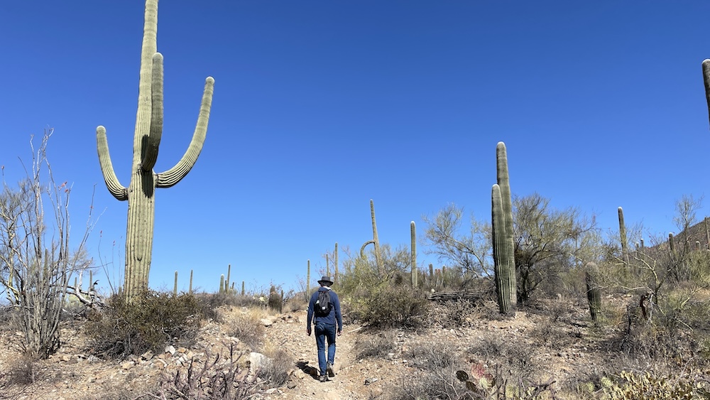 Chris Schroder hiking in Saguaro National Park.