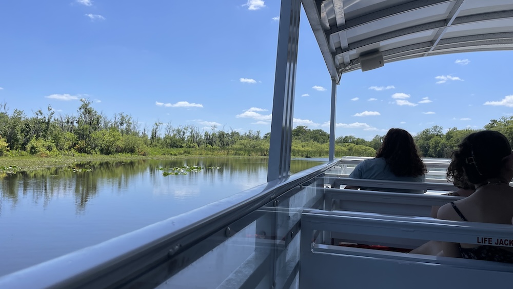 view from boat on St. Johns River Nature Cruise